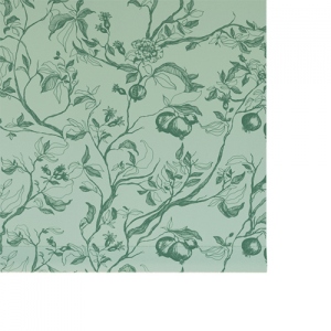 Églantier Vert gris