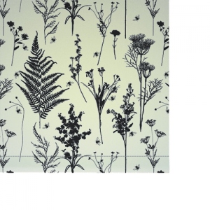 Fleurs sauvages Blanc