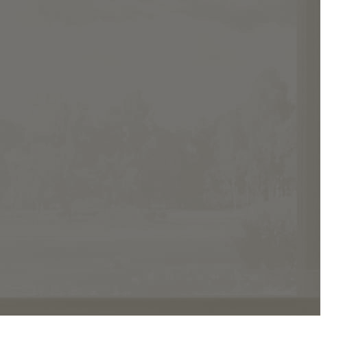 Gris anthracite