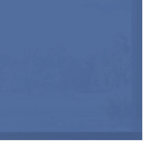 Bleuet