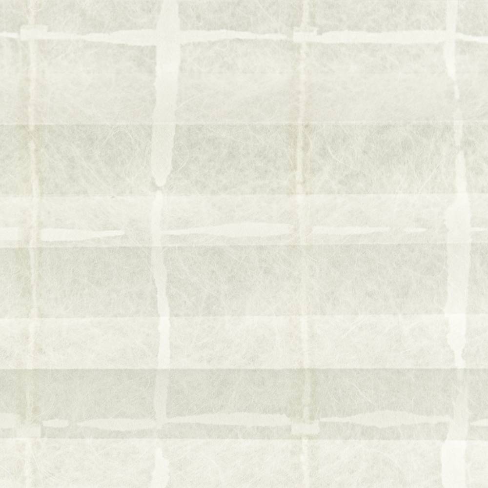 30271 blanc - translucide