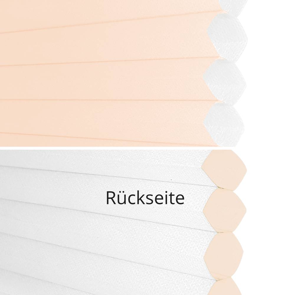 60005 rose - translucide