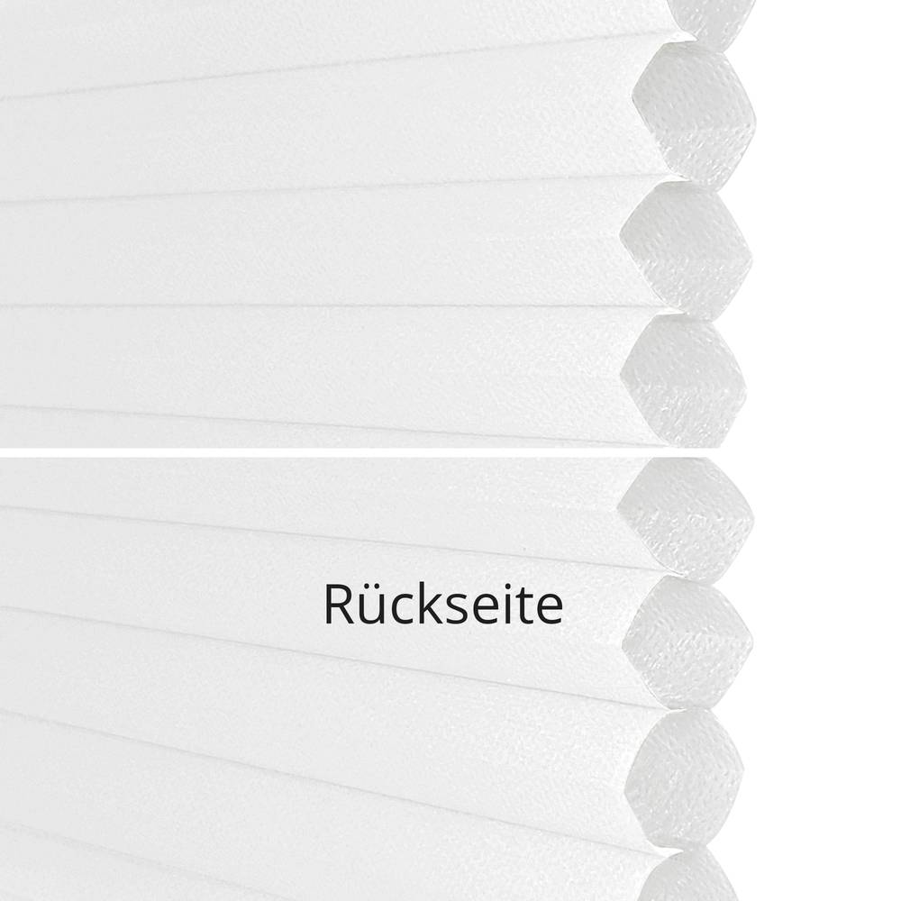 NC564HD blanc - translucide