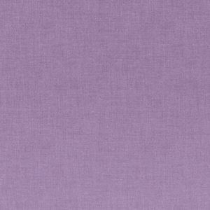 Pomme de terre vitelotte