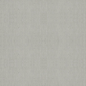 Gris souris