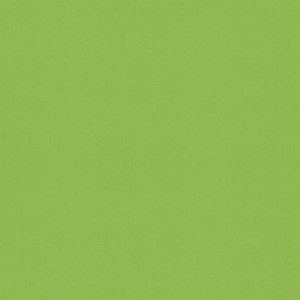 Citron vert rafraîchissant