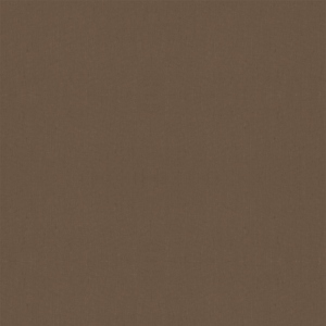 Chocolat chaud
